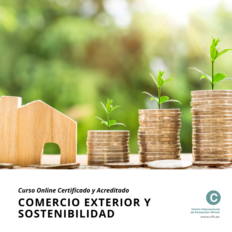 curso comercio exterior y sostenibilidad