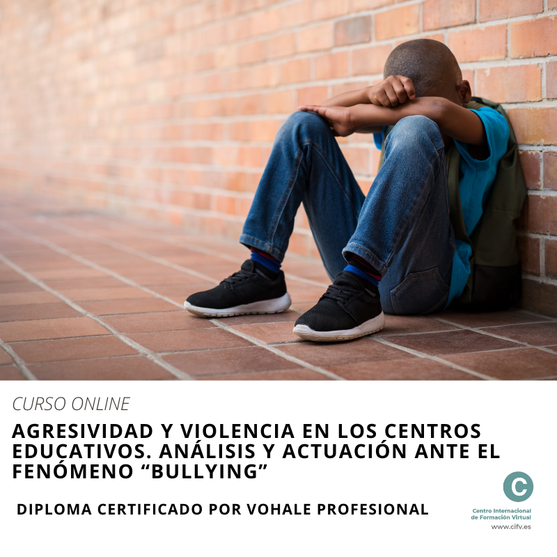 Curso Online Certificado y Acreditado: Agresividad y violencia en los centros educativos. Análisis y actuación ante el fenómeno 