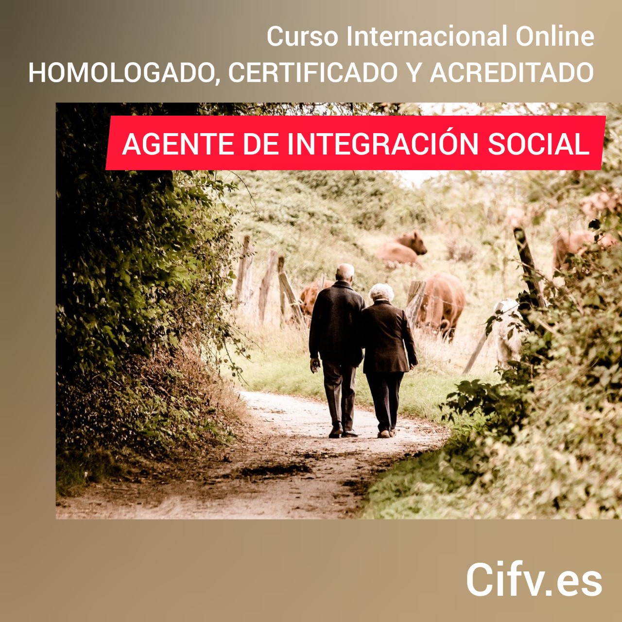 Curso Integracion Social