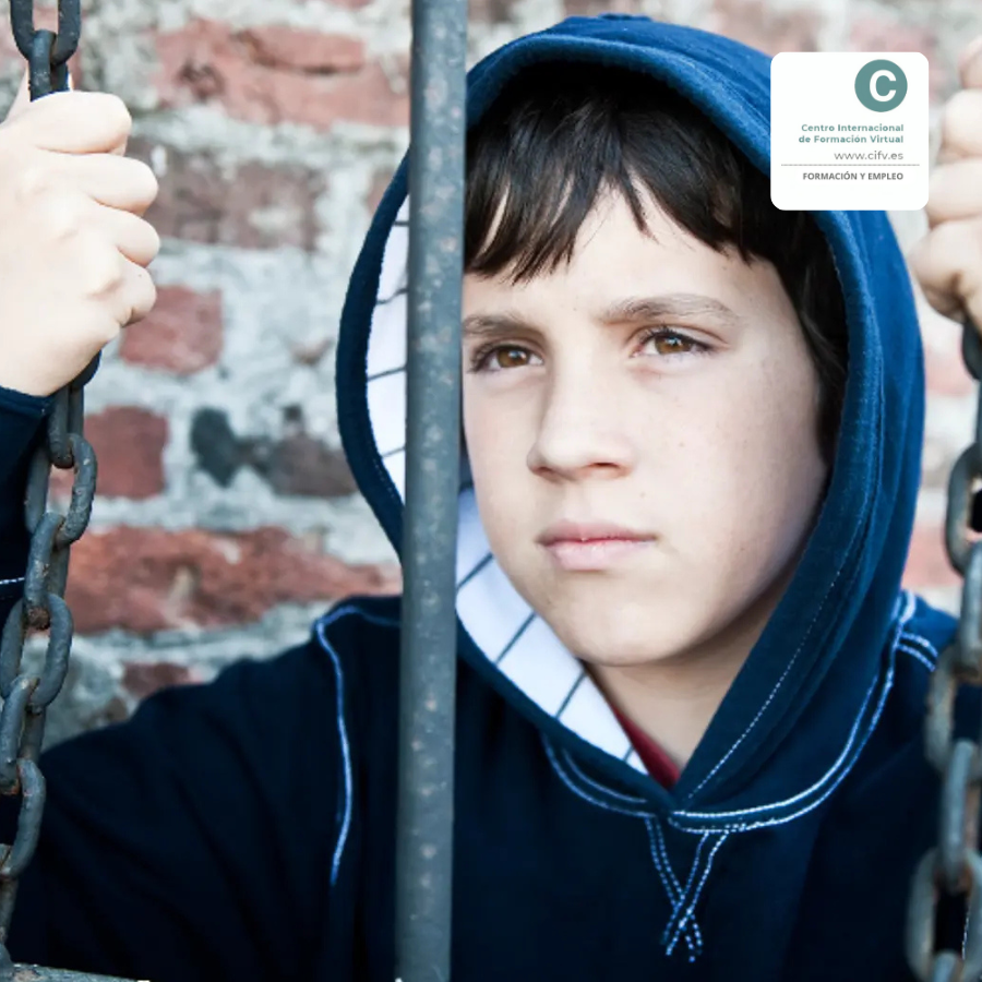 curso 2025 12 19T124451.528