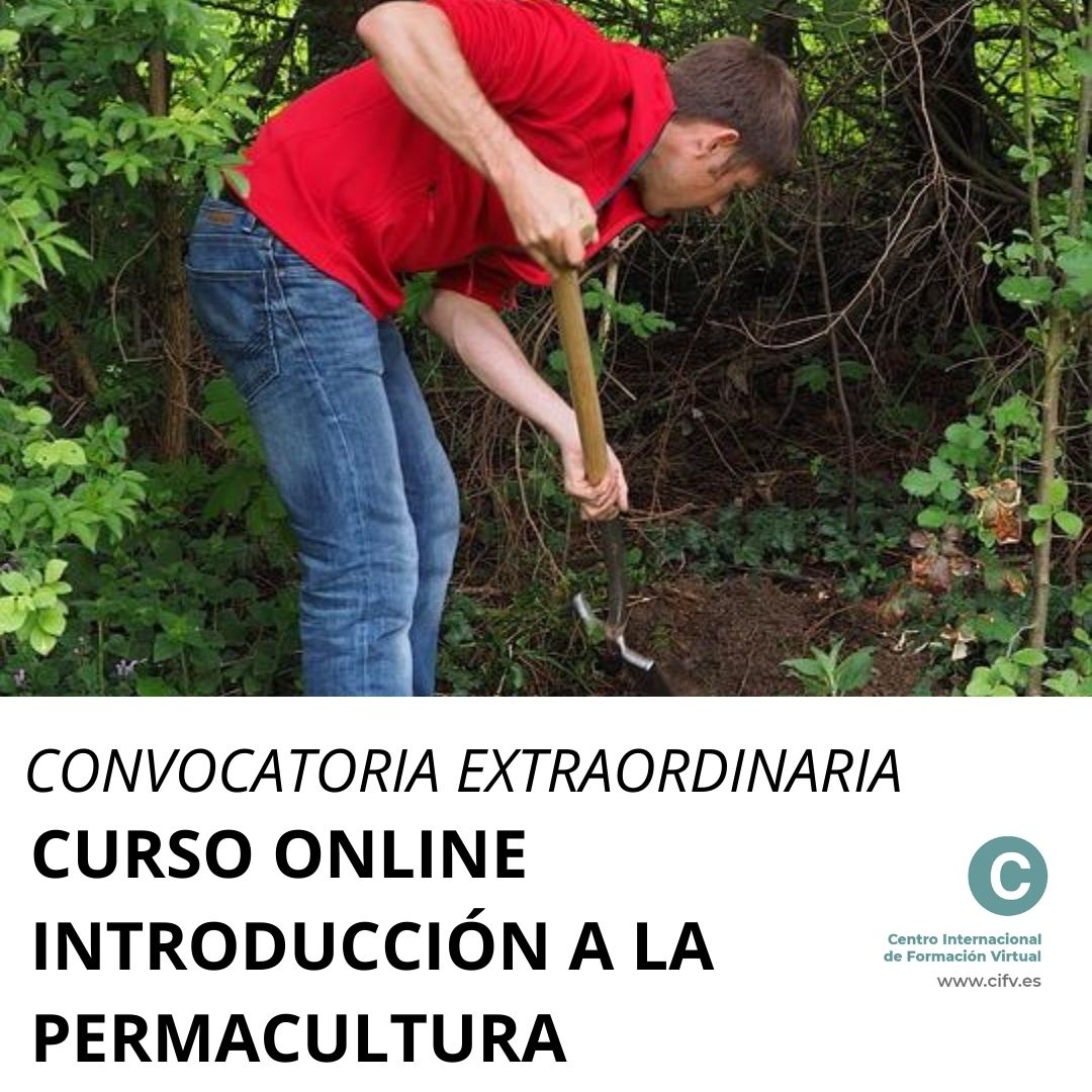 curso online permacultura introduccion