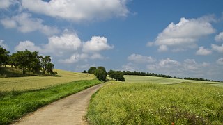 ecoaldeas