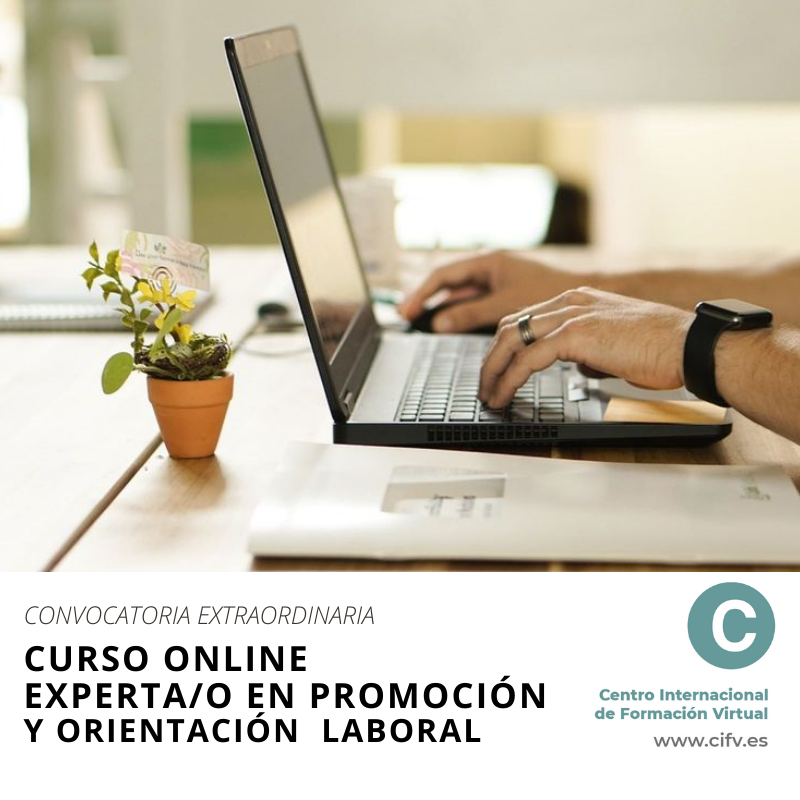 experto orientacion cifv ce