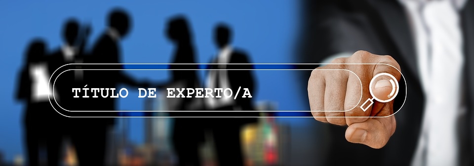 titulo experto captacion
