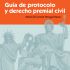 Guía de protocolo y derecho premial civil. Formato: Ebook